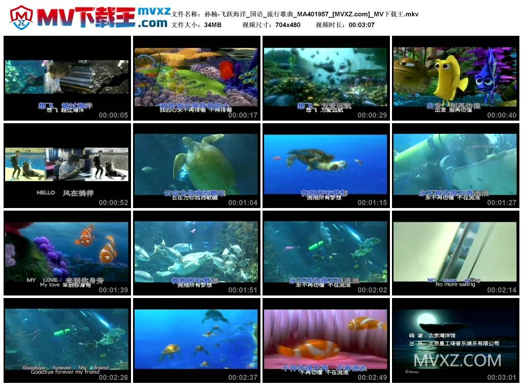 孙楠-飞跃海洋_国语_流行歌曲_MA401957